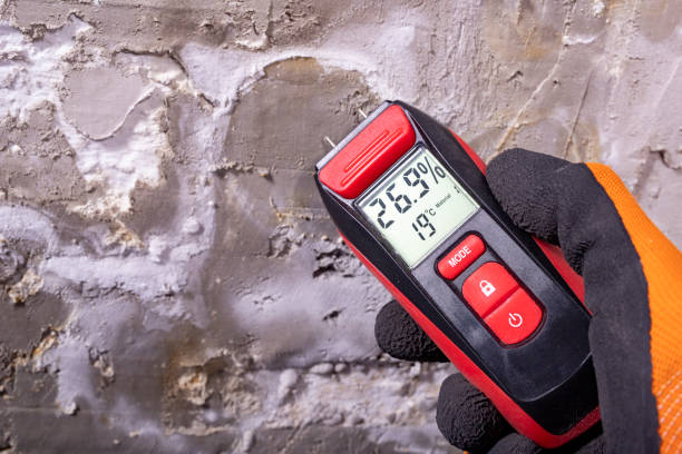 Best Commercial Mold Removal  in Sultan, WA